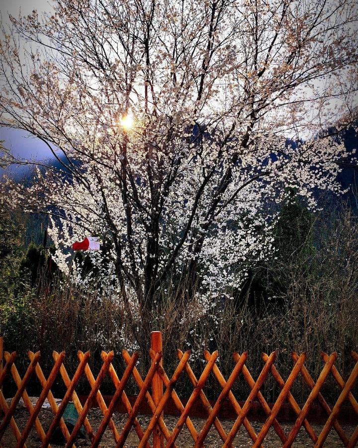 Moksha Slovenia Tolmin Exterior foto